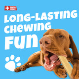 Swisscowers Cheese Bars for Small Dogs - Long Chewing Pleasure, Made with 100% Swiss Milk, Lactose-free, Gluten-Free, No Preservatives, Truffle, 80g