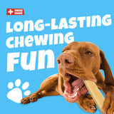 Swisscowers Cheese Bar for Large or Small Dogs - Long Chewing Pleasure, Made with 100% Swiss Milk, Lactose-free, Gluten-Free, No Preservatives, 2 Flavors (Original or Truffle), 80g