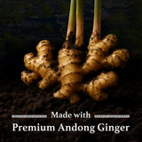Fermented Andong Ginger Tea 0.07 oz (2g) X 20 Tea Bags